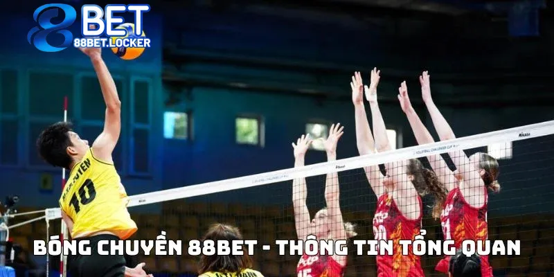 Bóng chuyền 88bet  với thông tin tổng quan