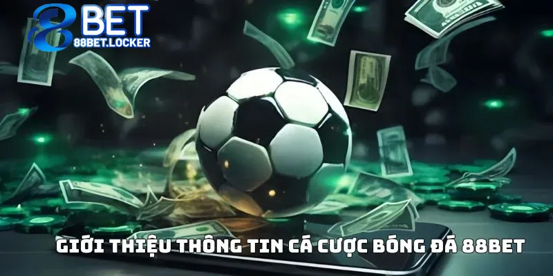 Giới thiệu thông tin cá cược bóng đá 88bet